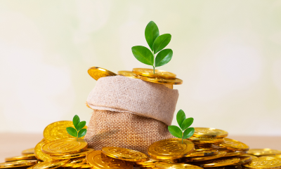 Full year 2025 earnings released – EPS ₹17.49 vs ₹39.51 (FY 24)